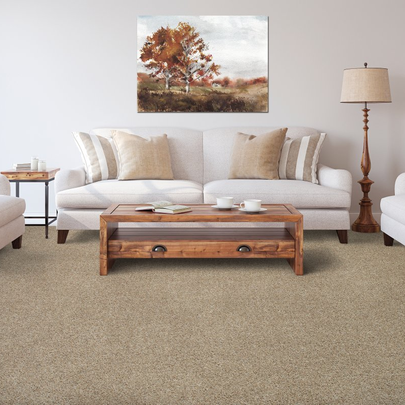 Hicks & Sons Floorcovering Specialist providing stain-resistant pet proof carpet in Cloverdale, IN - Color Fusion II - Harvest Moon